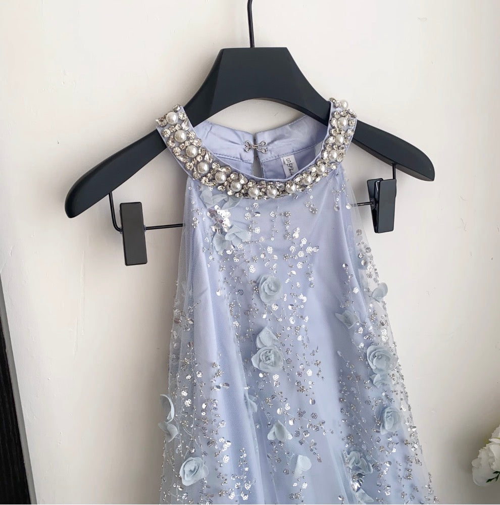 Beaded Sleeveless A-line Mesh Dress