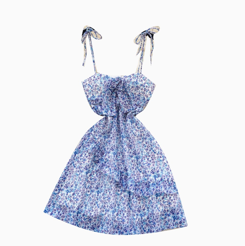 Hollowed Backless Floral Chiffon Slip Dress