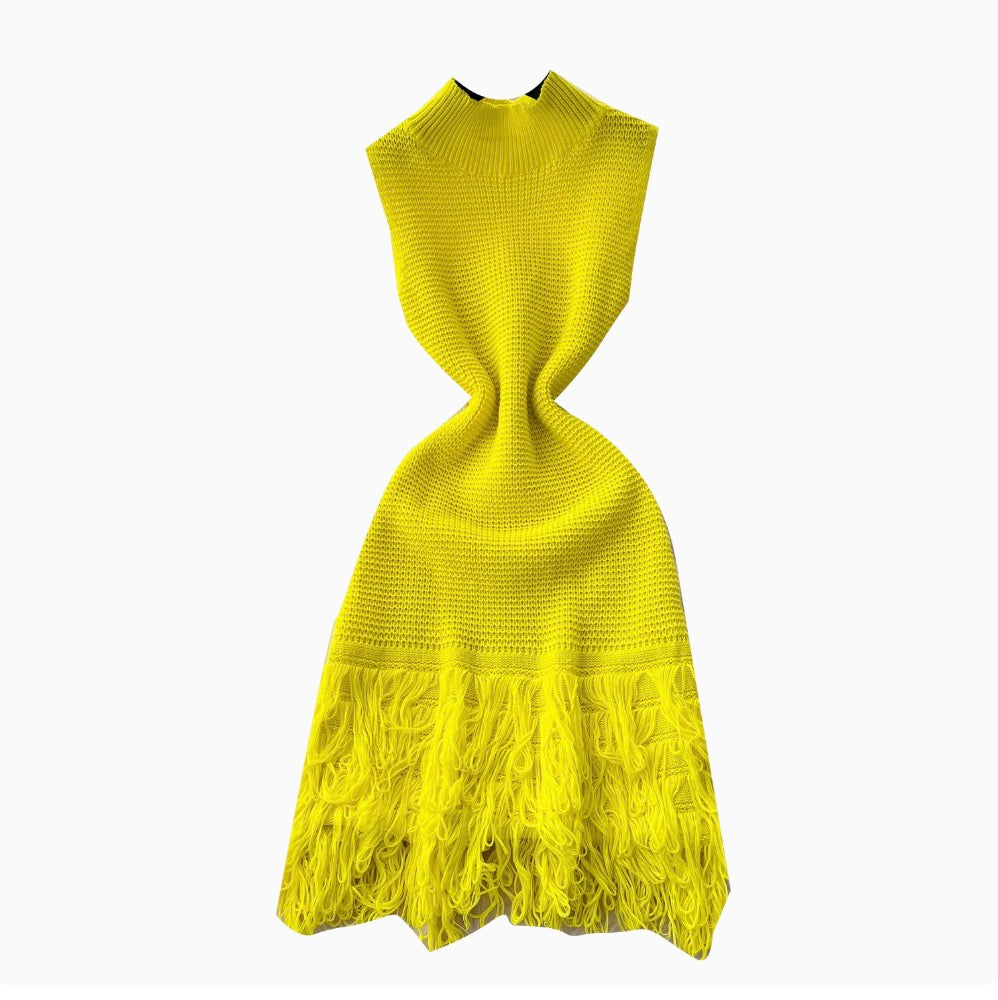 High-end Fringed Sleeveless Knit Dress