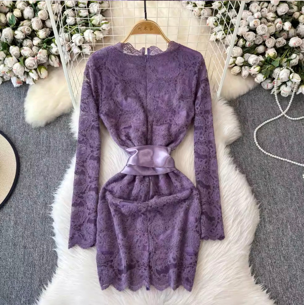 Sexy V-neck Embroidered Lace Dress