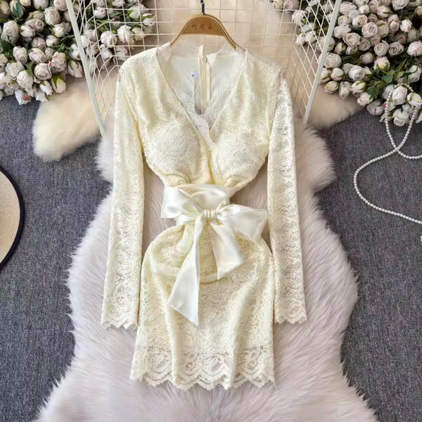 Sexy V-neck Embroidered Lace Dress