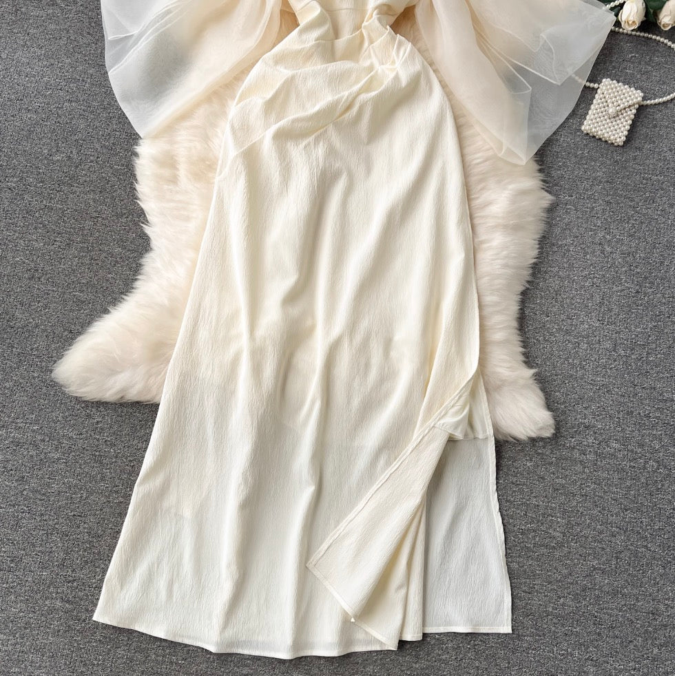 Lace-up Champagne Color Bustier Dress
