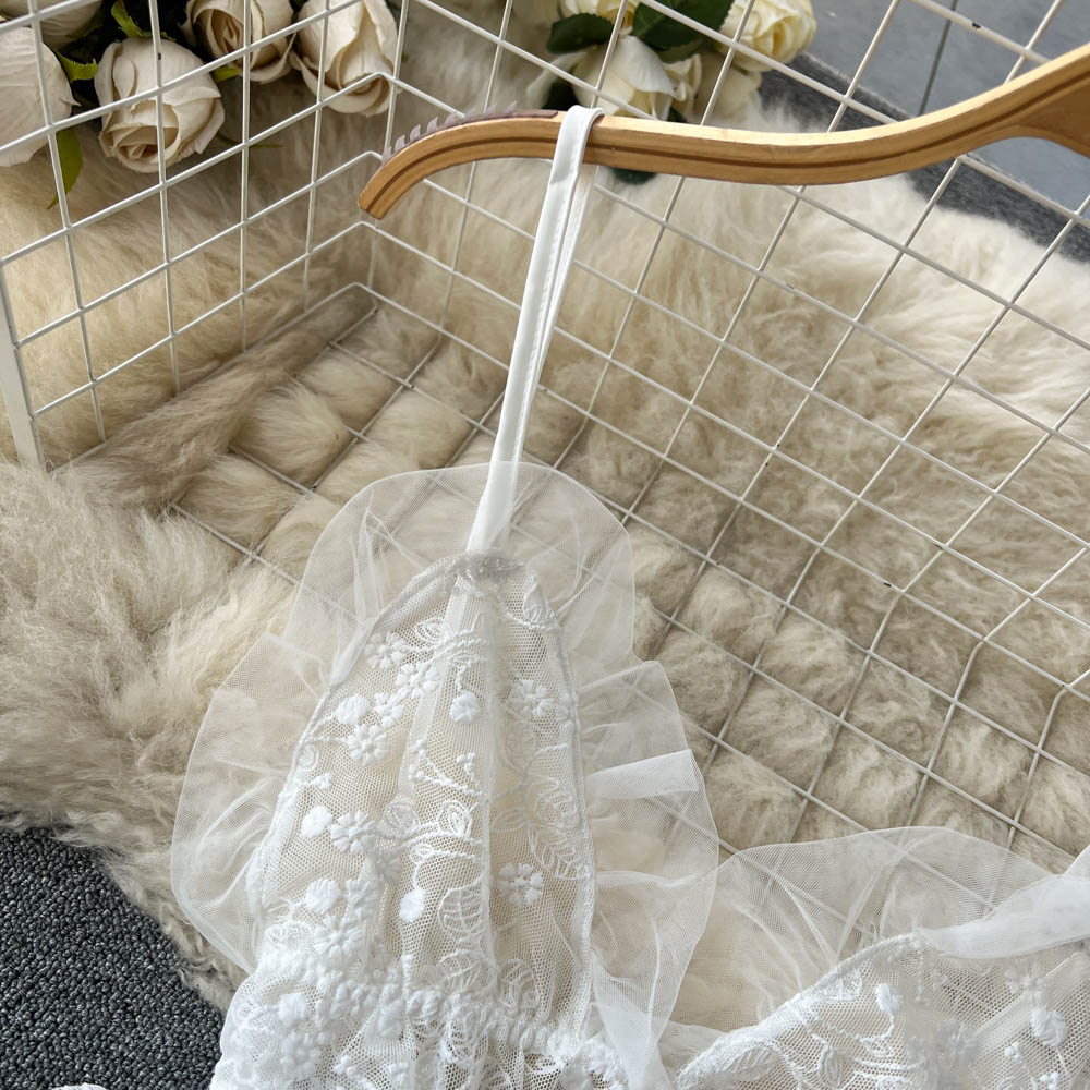 Lace Embroidered See-through Slip Dress