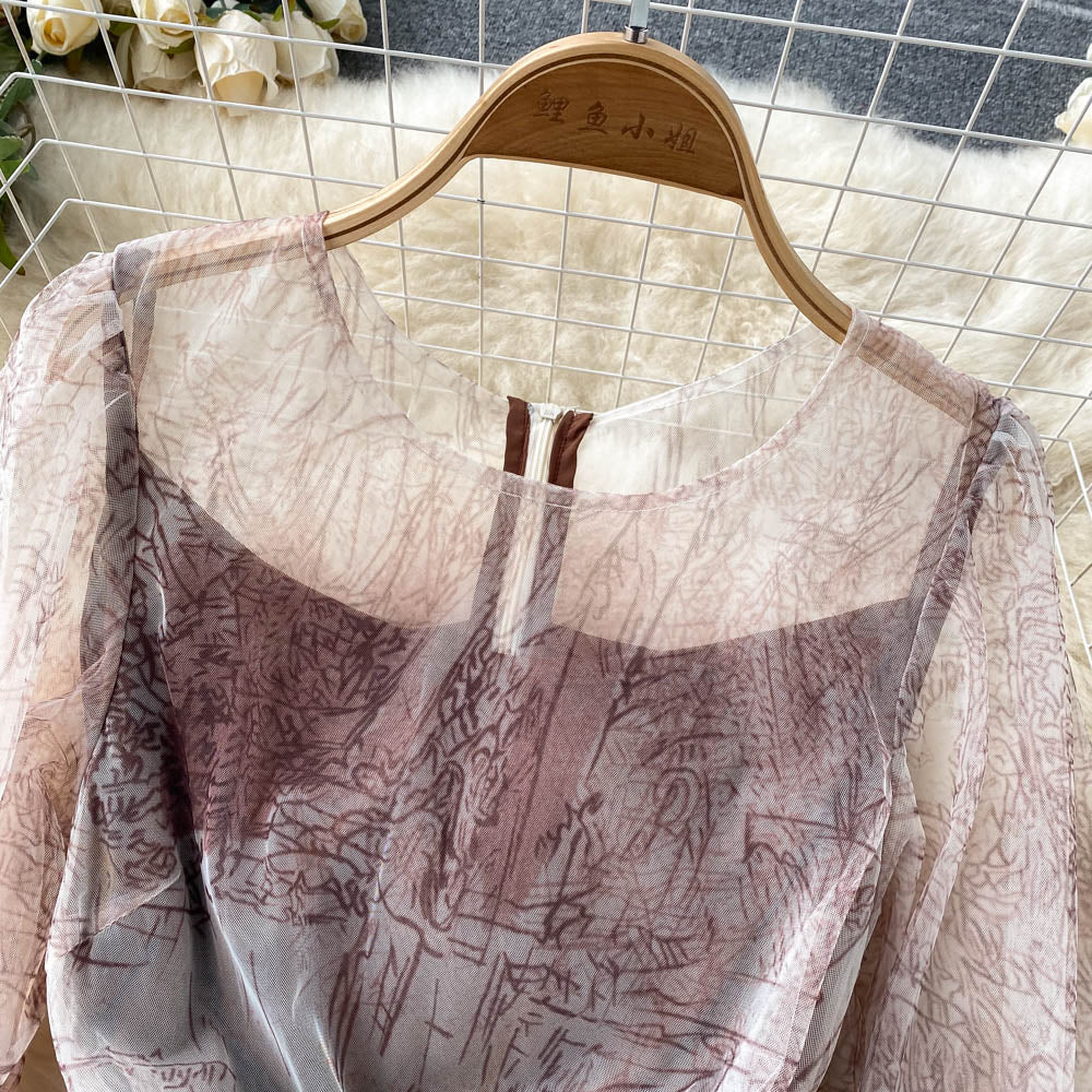 French Style Floral Printed Mesh Dress