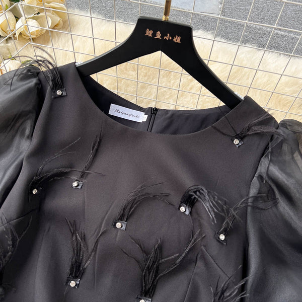 Beaded Feather-decorated Black Dress