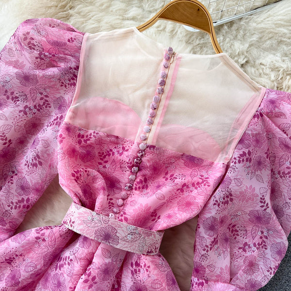 Mesh Patchwork Puff Sleeve Floral Dress