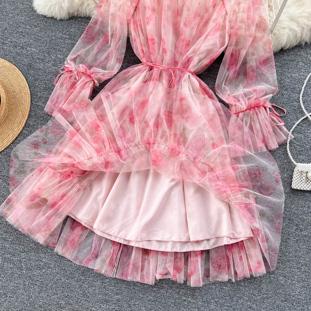 Niche See-through Mesh Floral Dress