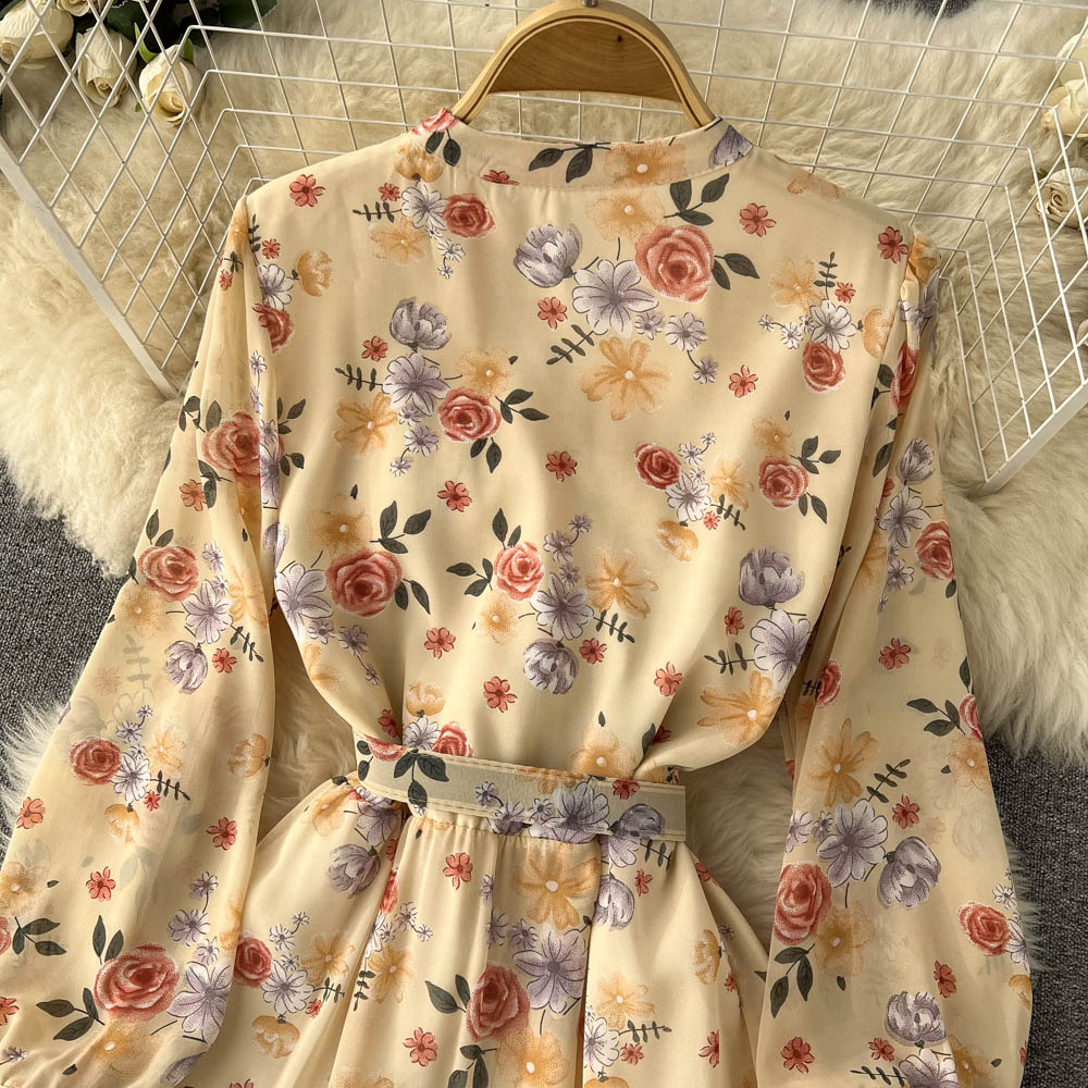 Fairy V-neck Chiffon Floral Dress