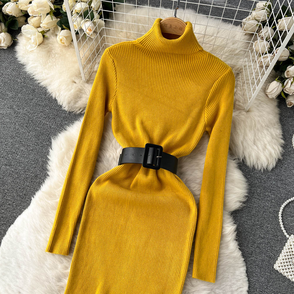 High Collar Tight Knitted Dress