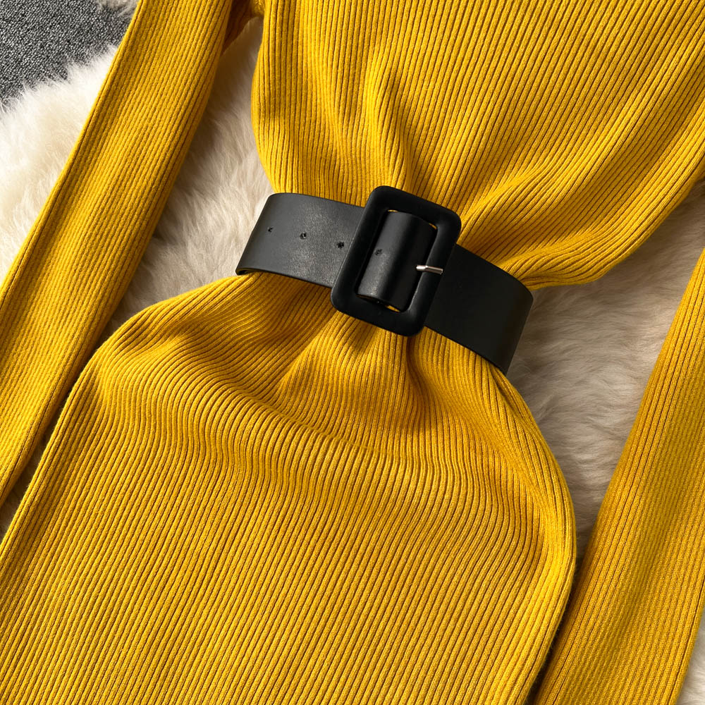 High Collar Tight Knitted Dress