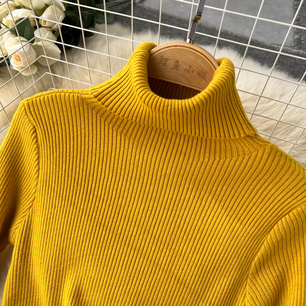 High Collar Tight Knitted Dress