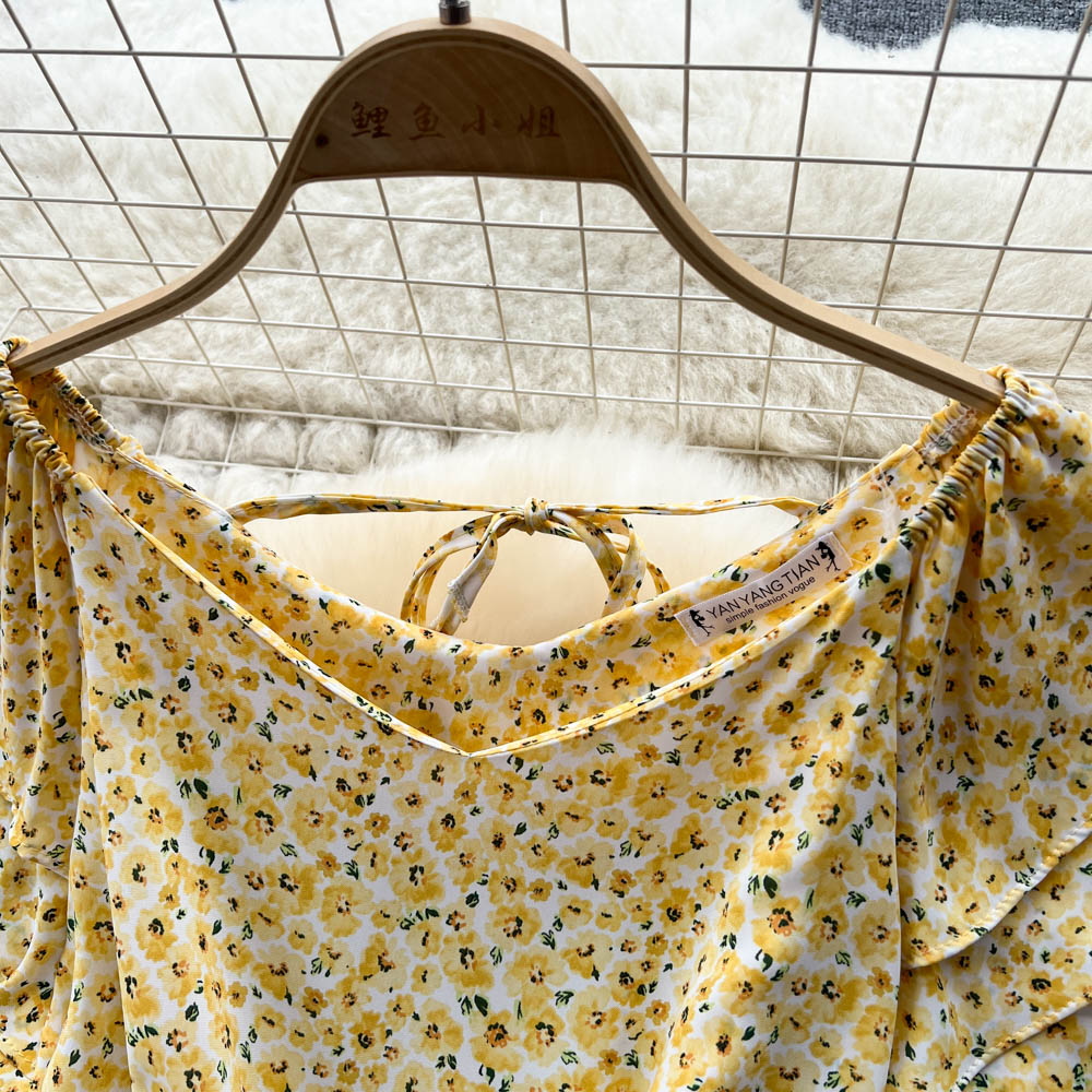 Fairy Pleated Lace-up Floral Dress