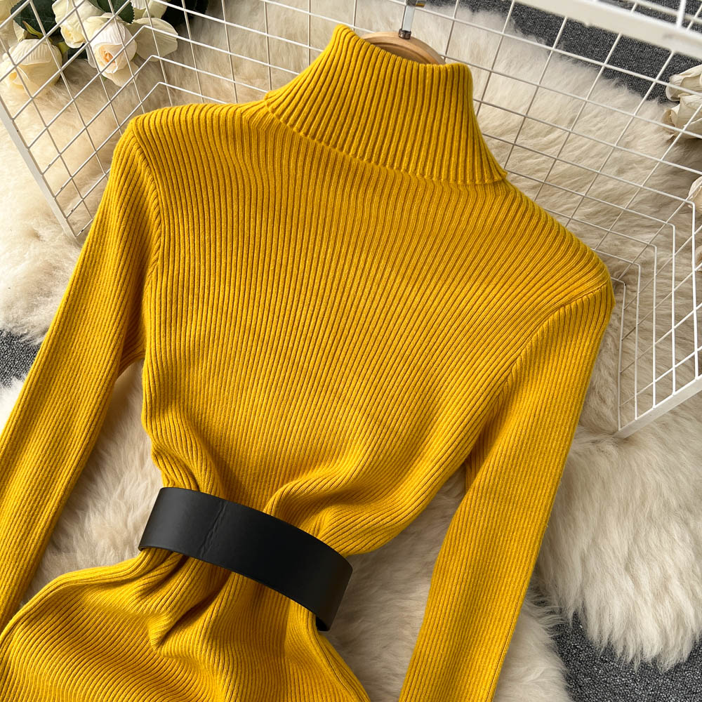 High Collar Tight Knitted Dress