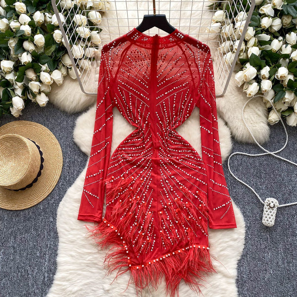 Rhinestone Studded Fringed Mesh Dress