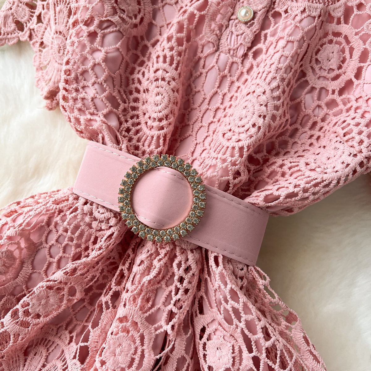 Courtly Stand Collar Hollowed Lace Dress