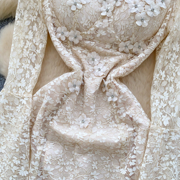 3D Floral Beaded Hollowed Lace Dress