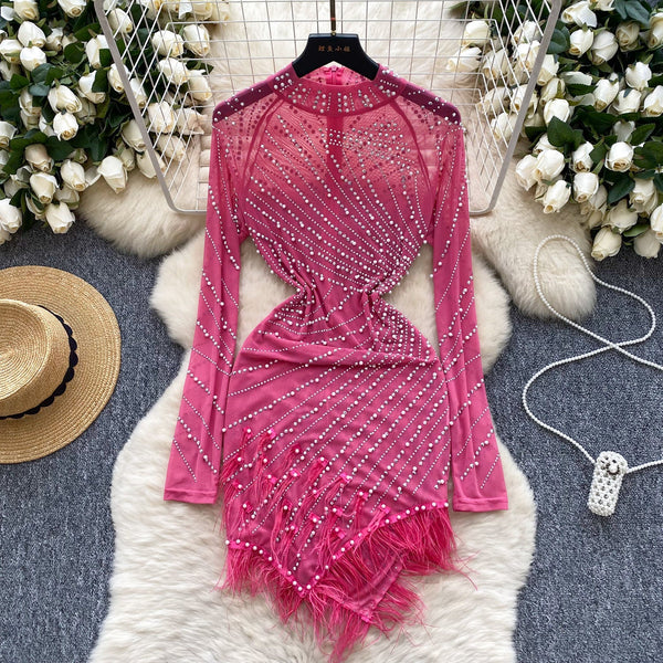 Rhinestone Studded Fringed Mesh Dress