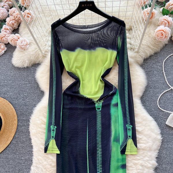 Chic Colorful Printed Mesh Dress
