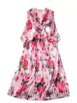 Fairy Pleated Floral Chiffon Dress