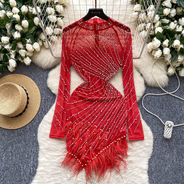 Rhinestone Studded Fringed Mesh Dress